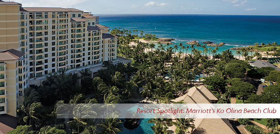 Resort Spotlight